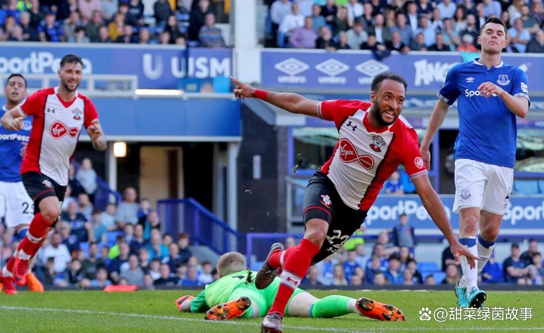 南安普顿战平埃弗顿,保持中游不败 南安普顿战平埃弗顿,保持中游不败