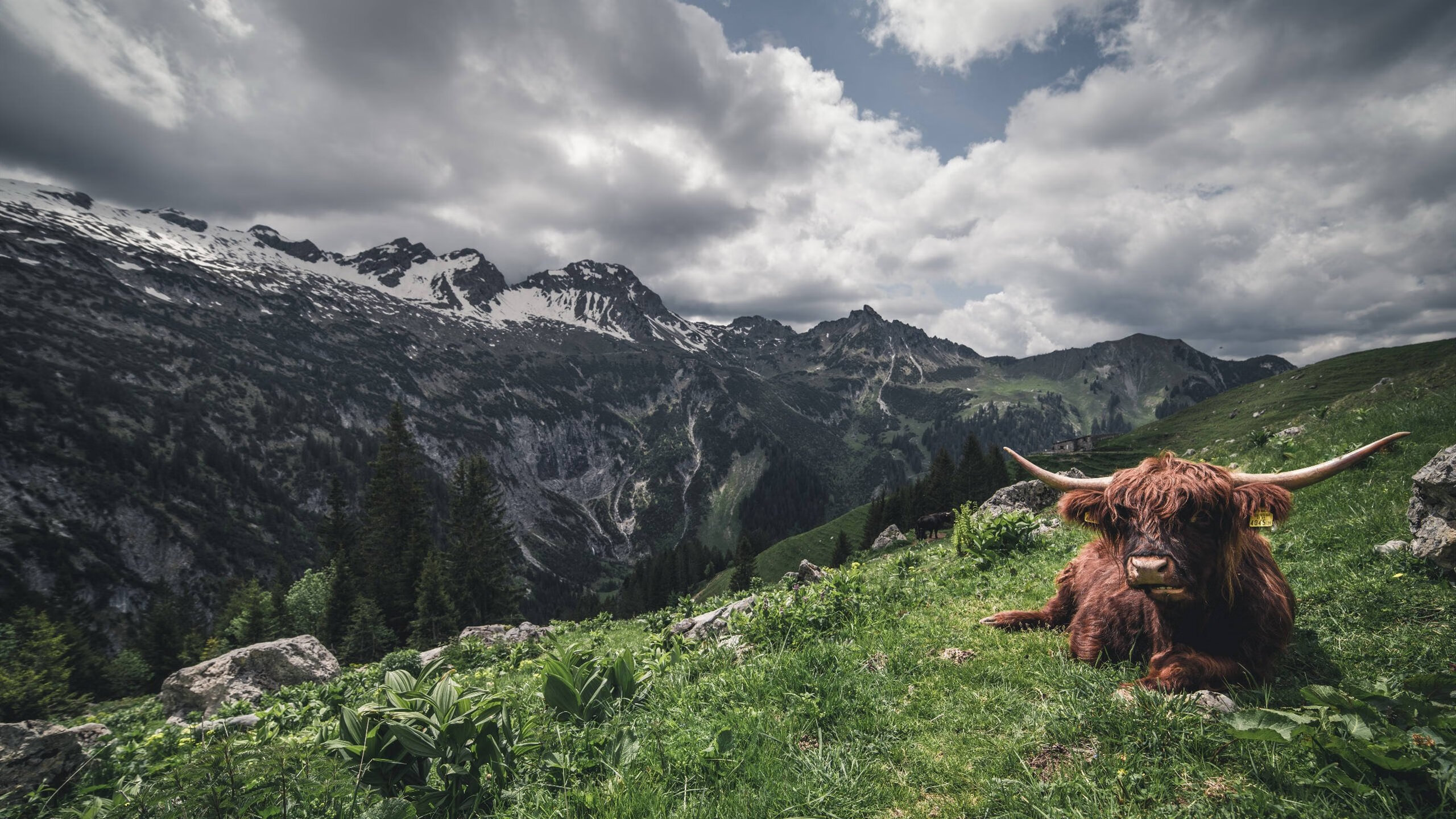 跨越时空的竞技场,从灰熊的生死逆袭到爱德华兹的欧冠接管之夜