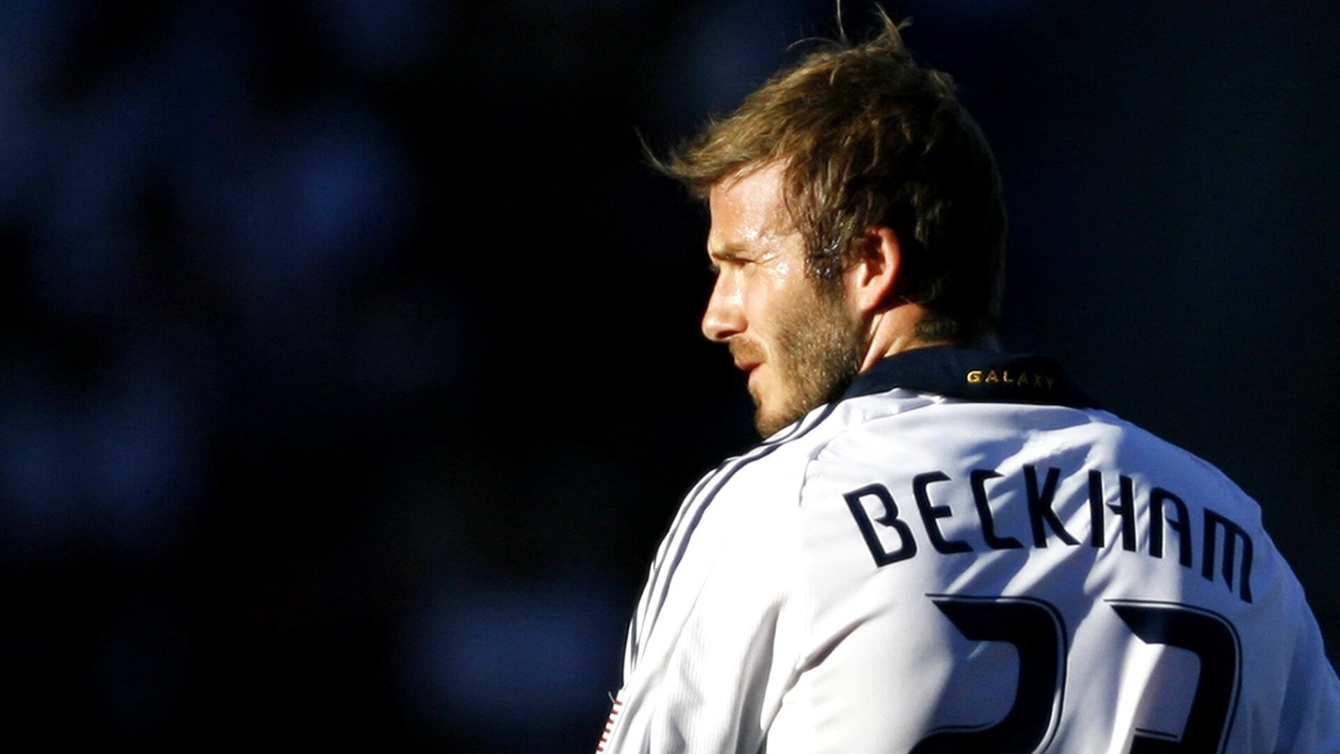 晋风西渐踏雷霆，哈利魔法燃星河—当坚韧遇上华丽