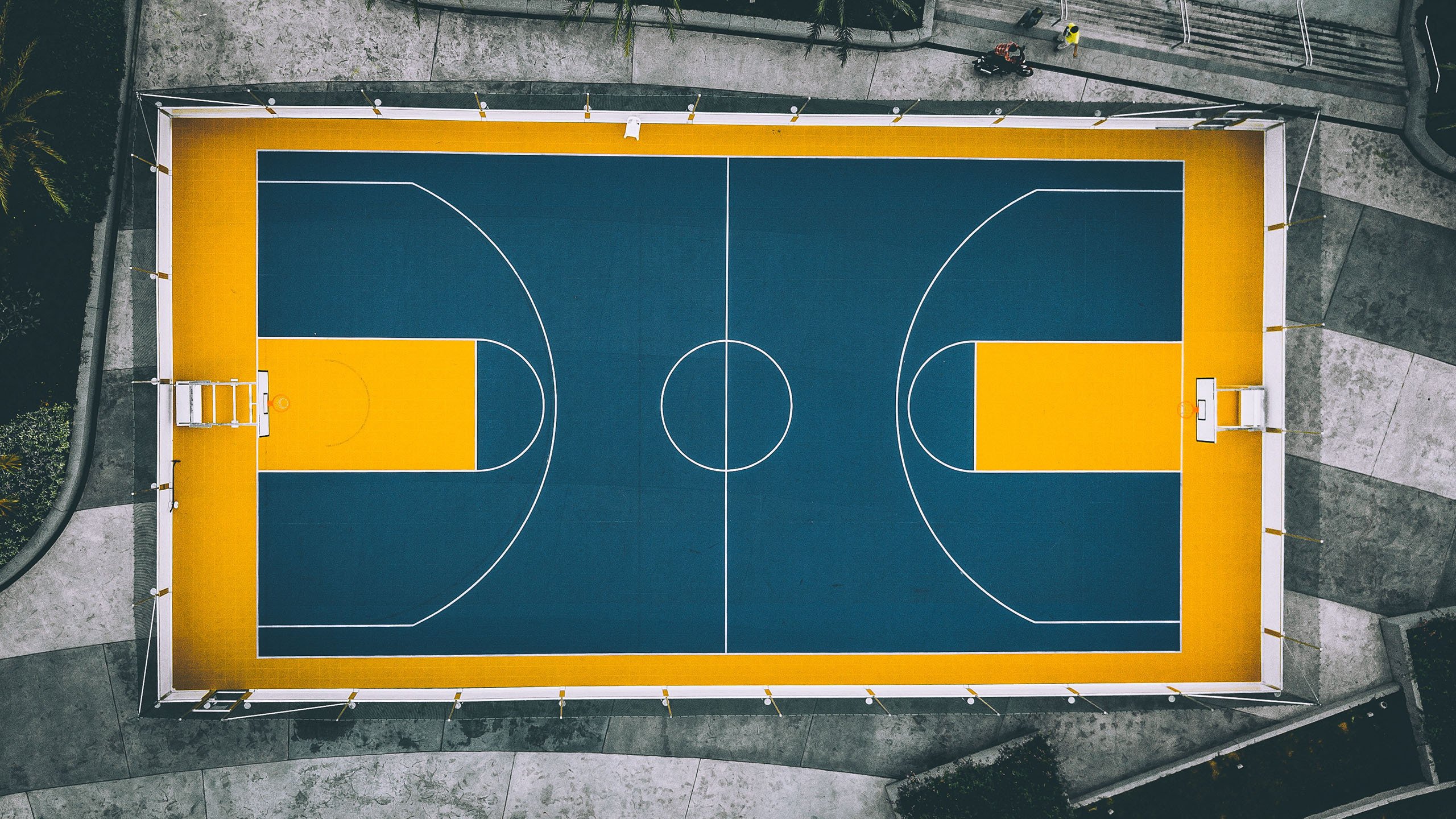 独擎孤旗,当拉塞尔的背影,成为哈斯在索伯烽火中唯一的城墙